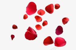 情人节红色浪漫玫瑰瓣装饰素材