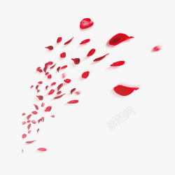 碎块背景红色飞溅的花瓣碎片高清图片