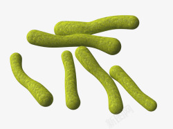 立体细胞草绿色细菌立体插画高清图片