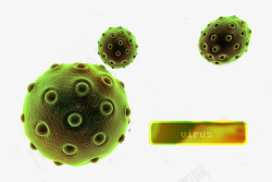 高清显微镜显微镜下的细胞真菌生物结构高清图片