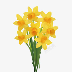 黑色插花瓶黄色迎春花装饰高清图片