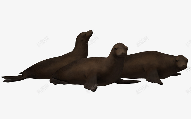 海底生物3d卡通动物png免抠素材_新图网 https://ixintu.com 3d 卡通鱼 海底世界 海洋动物 海洋素材 自然