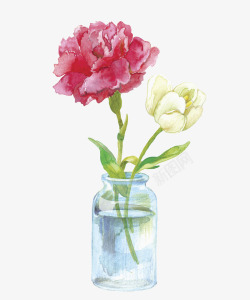 花瓶插画粉色和白色康乃馨水彩插画高清图片