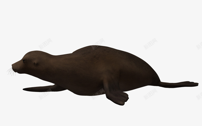 卡通海洋动物png免抠素材_新图网 https://ixintu.com 3D 3d动物 3d卡通 海底生物 海洋 海洋生物 海洋素材