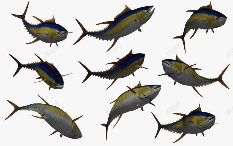 3d卡通生物png免抠素材_新图网 https://ixintu.com 3d鱼类 卡通鱼 海底世界 海底动物 自然 鱼