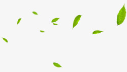 绿叶漂浮素材树叶漂浮绿叶高清图片