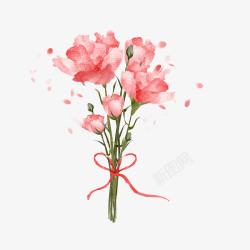 蝴蝶结母亲节粉色康乃馨花朵高清图片