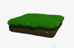 草地土壤横切面素材