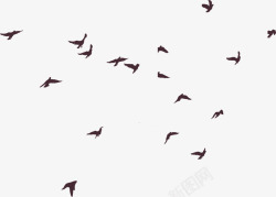 手绘的小鸟飞鸟剪影矢量图高清图片