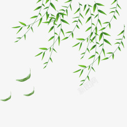 的柳枝清明节水墨风风中的柳叶高清图片
