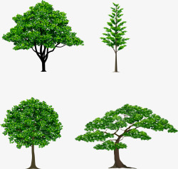 生物手绘绿树高清图片