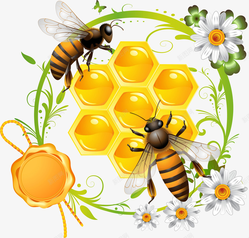 手绘水彩蜂蜜图png免抠素材_新图网 https://ixintu.com 创意 卡通手绘 唯美 小清新 植物 水彩 花卉 花朵 蜂蜜 蜜蜂 边框