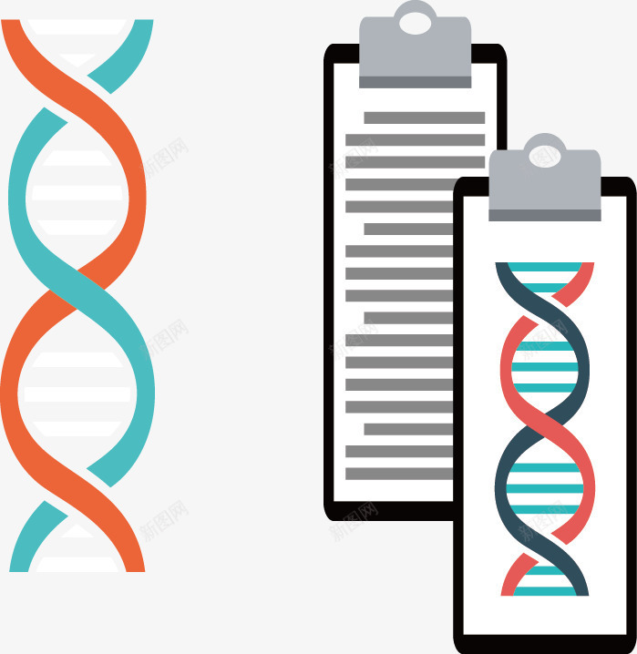 生物基因矢量图ai免抠素材_新图网 https://ixintu.com 基因 基因书本 生物学习 科学研究 矢量图