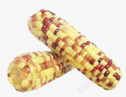 不同玉米不同颜色玉米粒玉米高清图片