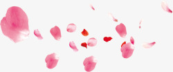 花瓣飘舞飘舞红色粉色玫瑰花瓣高清图片