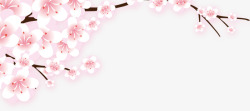 三月学雷锋樱花春天三月四月樱花节高清图片