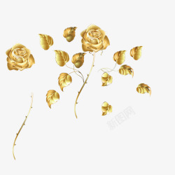 金色幸福金色玫瑰高清图片