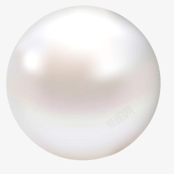 一颗大珍珠白色珍珠高清图片