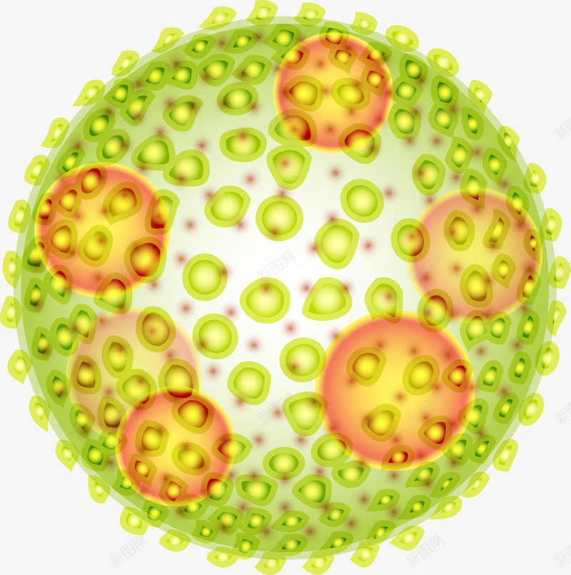 生物研究细胞分裂png免抠素材_新图网 https://ixintu.com 显微镜 生物医疗 生物学 生物研究 真菌 细胞 细胞高清大图 细菌 细菌结构 蛋白质细胞