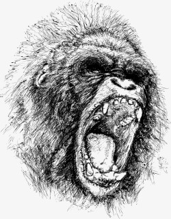 焦急动物卡通手绘焦急奔跑大猩猩高清图片