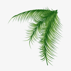 植物剪影椰子树矢量图高清图片