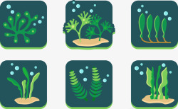 海底生态海藻合集素材