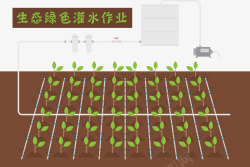 农业灌溉生态绿色高清图片