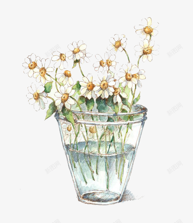 水彩鲜花png免抠素材_新图网 https://ixintu.com 卡通 手绘 水 水彩 玻璃瓶 白色 装饰 鲜花