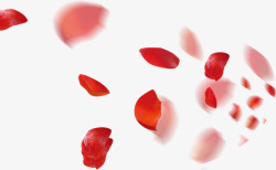 活动花瓣红色漂浮玫瑰花瓣活动电商高清图片