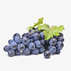 葡萄新鲜好吃带叶的葡萄高清图片