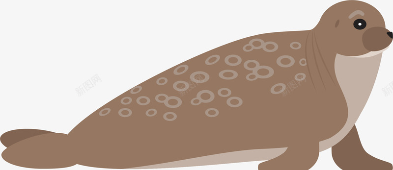 手绘小海豹png免抠素材_新图网 https://ixintu.com 创意 动物 卡通 小海豹 手绘 斑点 棕色