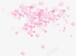 花色花海粉色花朵花海植物花瓣高清图片