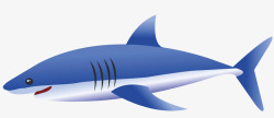 蓝色大鲨鱼素材