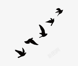 黑色燕子飞鸟剪影装饰图案高清图片
