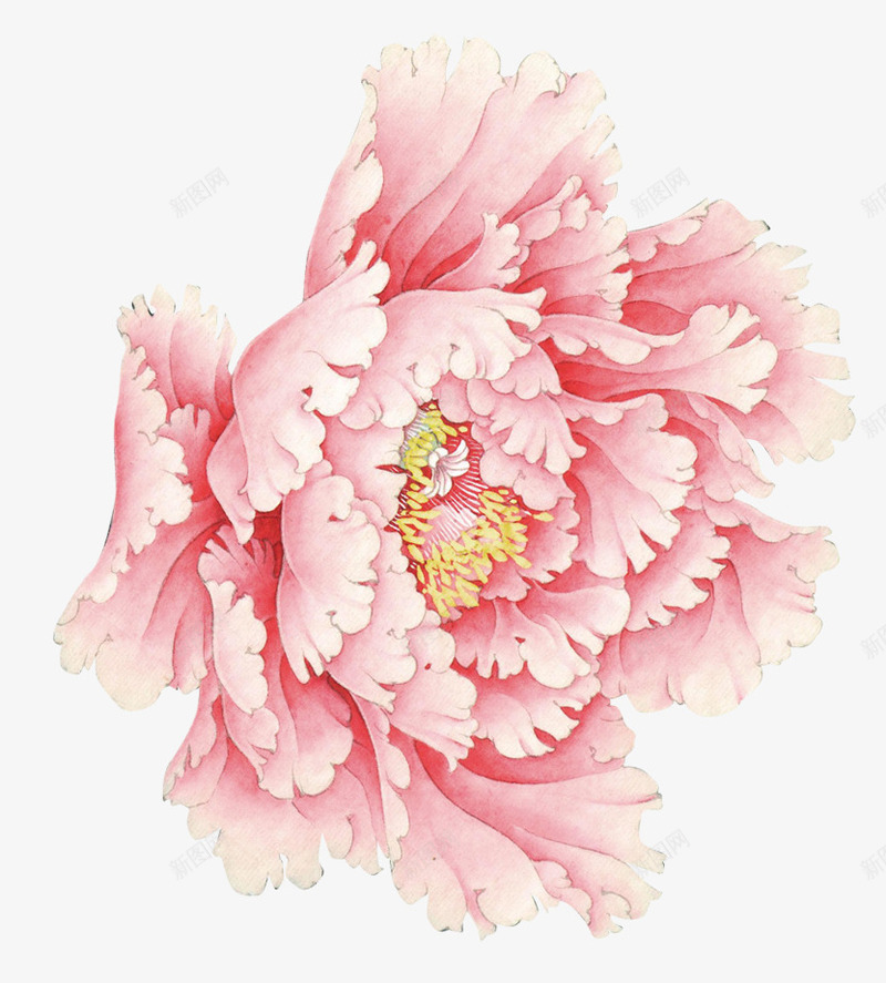 粉红牡丹png免抠素材_新图网 https://ixintu.com 中国风 卡通手绘 国庆节 粉红色 红牡丹 装饰花