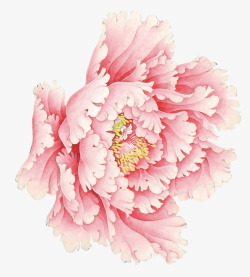 国庆节花粉红牡丹高清图片