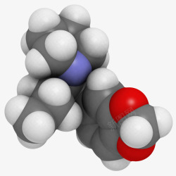 黑色亚甲二氧基戊酰胺分子形状素素材