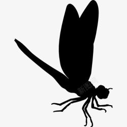 飞行龙龙的飞行昆虫动物形状图标高清图片