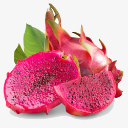 枇杷水果免费下载新鲜的红心火龙果水果高清图片