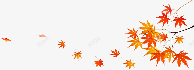 枫叶漂浮png免抠素材_新图网 https://ixintu.com AI 卡通 叶片 底纹 手绘 枫叶 树叶 橙色 漂浮 线条 背景