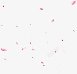 淘宝海报素材飘落的花瓣风景高清图片