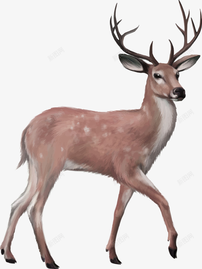 棕色简约麋鹿装饰图案png免抠素材_新图网 https://ixintu.com 免抠PNG 棕色 简约 装饰图案 麋鹿