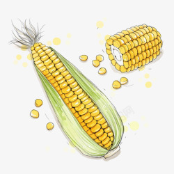 黄色玉米粒手绘玉米高清图片