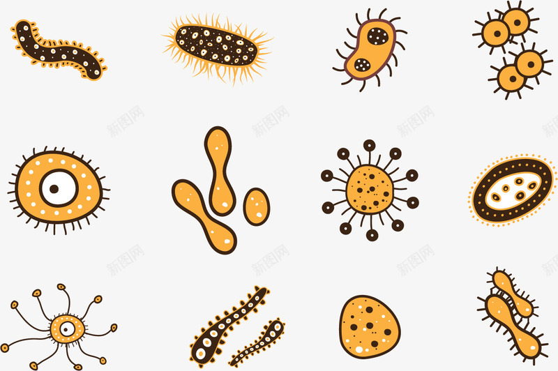 独立菌群png免抠素材_新图网 https://ixintu.com 微生物 显微镜 独立 真菌 细菌 群体 菌群
