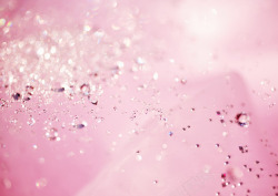 美丽光线金粉色玫瑰沙丝高清图片