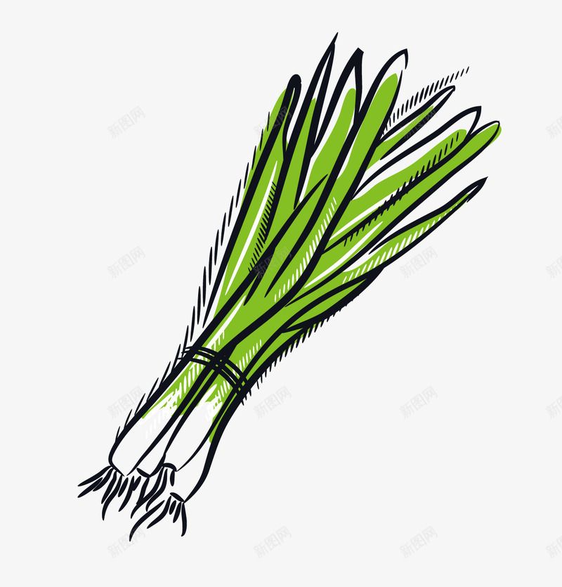 手绘葱花png免抠素材_新图网 https://ixintu.com 卡通 手绘 插画葱 绘画 葱 葱花 蔬菜 食物