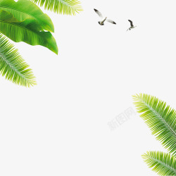 度假banner夏日椰子树叶沙滩海滩高清图片
