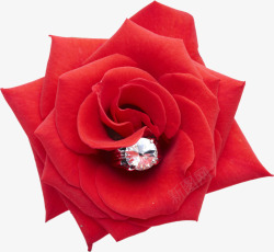 红色婚礼花朵钻石素材