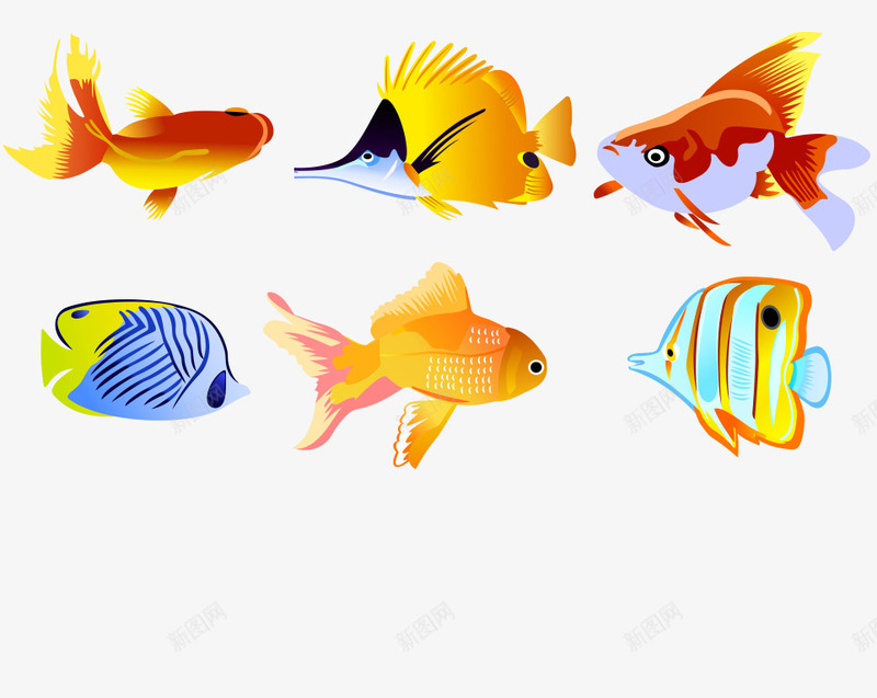 海洋鱼集合png免抠素材_新图网 https://ixintu.com png素材 小丑鱼 海洋鱼 热带鱼 色彩艳丽