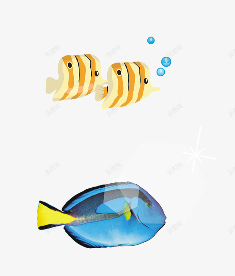 卡通深海鱼png免抠素材_新图网 https://ixintu.com 海底动物 海鱼 海鲜 深海鱼 食用鱼